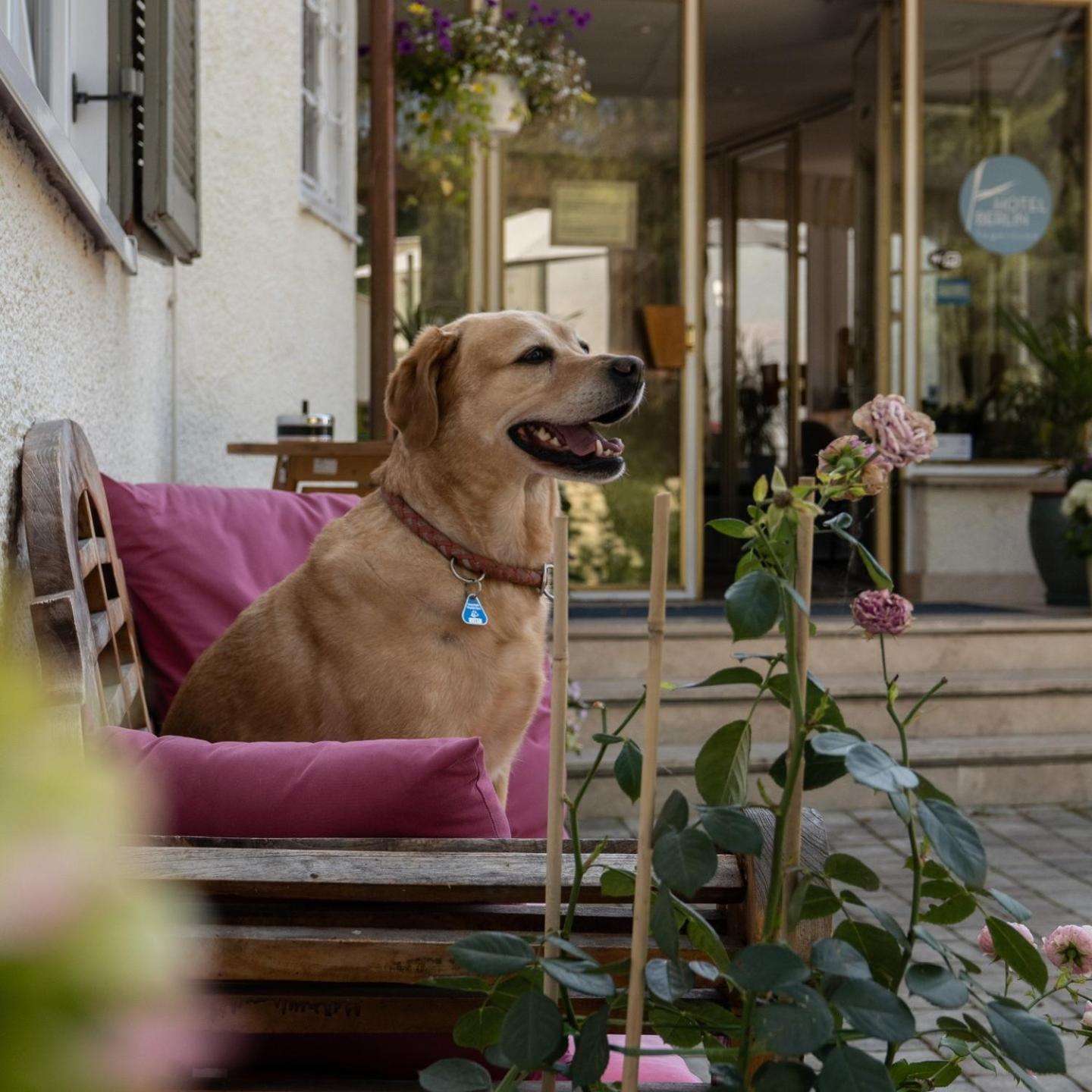 Hotel Berlin Tegernsee Rotta Kültér fotó