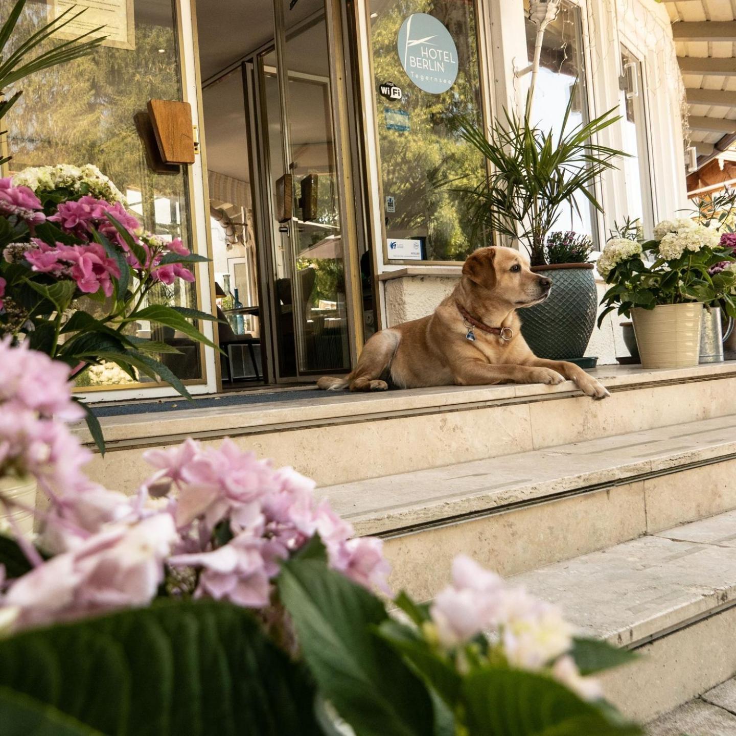 Hotel Berlin Tegernsee Rotta Kültér fotó