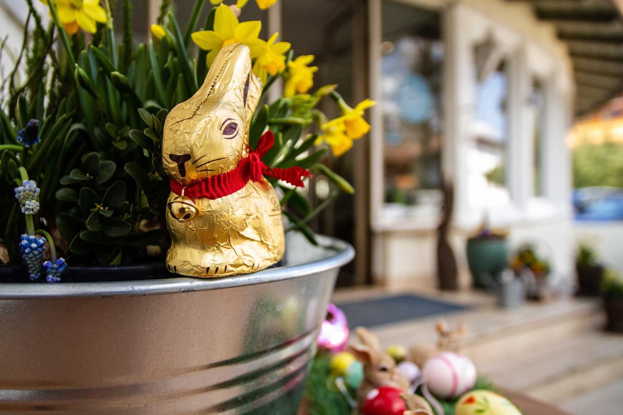 Hotel Berlin Tegernsee Rotta Kültér fotó